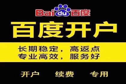 某企业SEM广告投放的ROI提升策略及效果展示